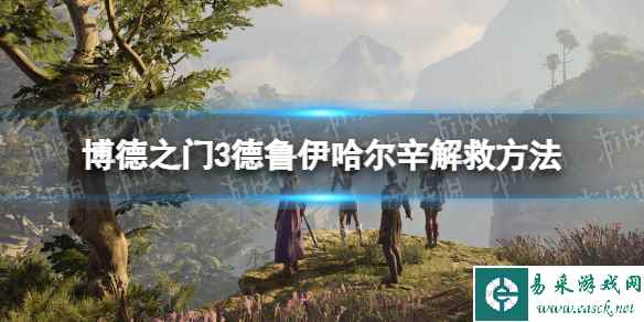 《博德之门3》德鲁伊哈尔辛怎么救? 德鲁伊哈尔辛解救方法