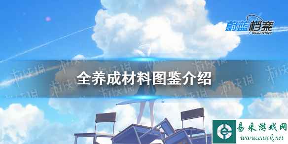 网1