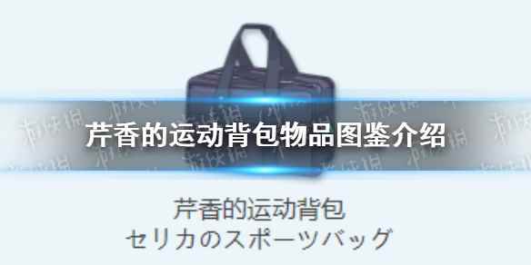 《蔚蓝档案》芹香的运动背包物品图鉴介绍