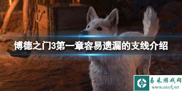 《博德之门3》第一章容易遗漏的支线介绍 第一章部分支线技巧