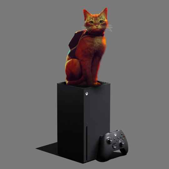 Steam好评如潮 猫咪冒险游戏《迷失》正式登陆Xbox