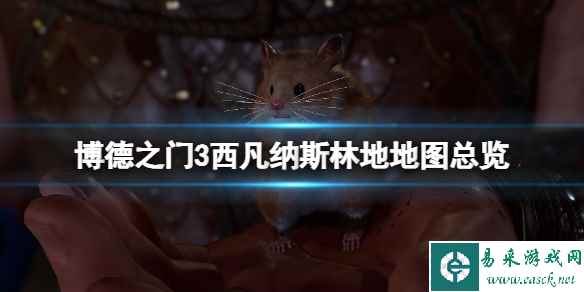 《博德之门3》西凡纳斯林地地图总览 西凡纳斯林地密道入口在哪？