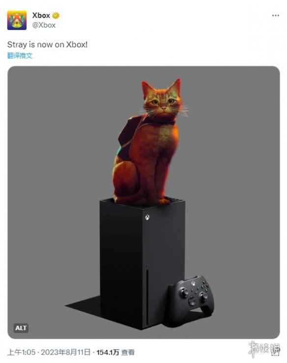 谁不爱猫猫呢!猫咪冒险游戏《Stray》Xbox版正式推出