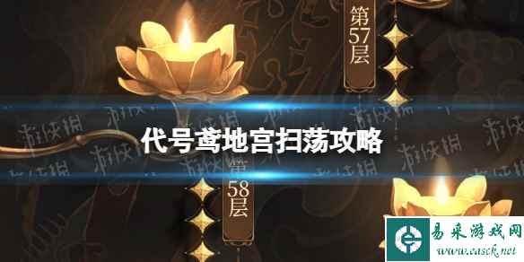 网1