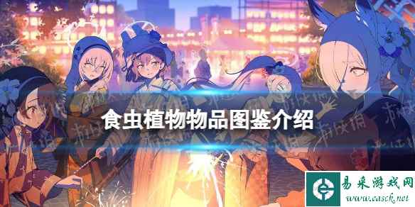 网1