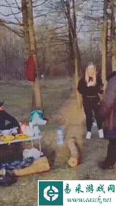 易采游戏网