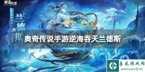网1