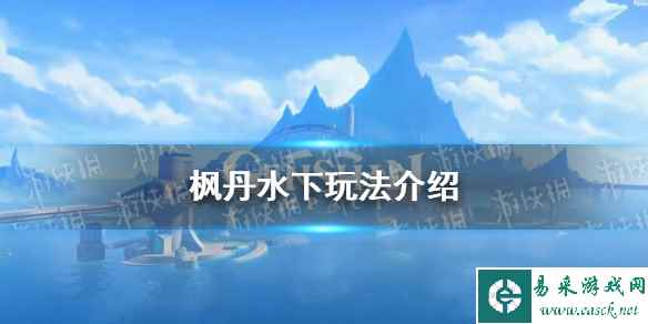 网1