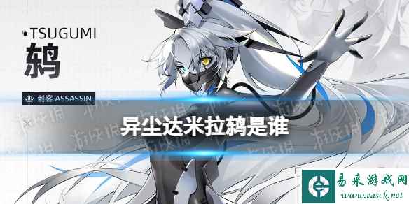 网1