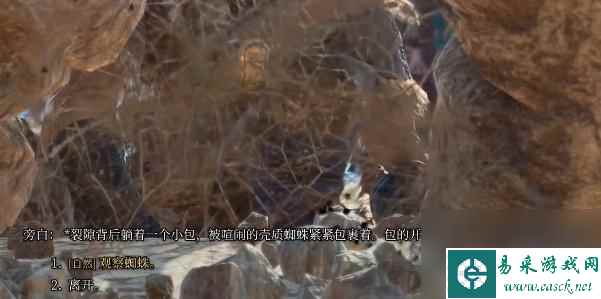 博德之门3蜘蛛卵囊有什么用-博德之门3蜘蛛卵囊怎么获得