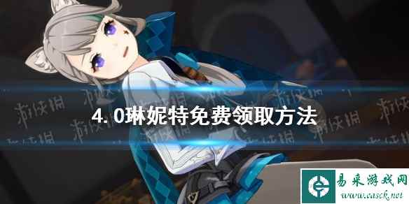 网1