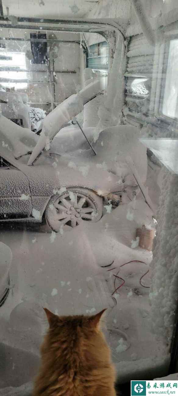 这些倒霉蛋们的悲催时刻 看完心情是不是瞬间变好了