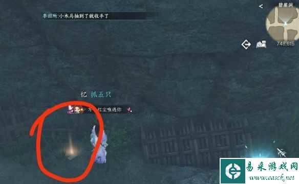网5