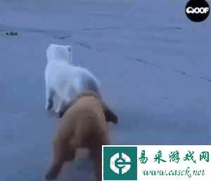 易采游戏网