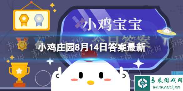 网1