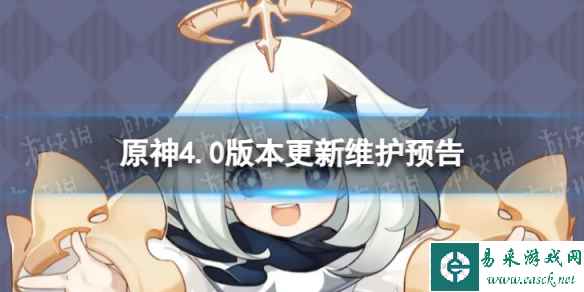 网1