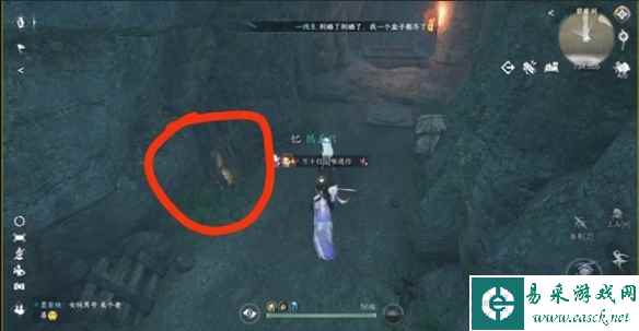 网3