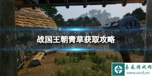 《战国王朝》青草在哪获得? 青草获取攻略