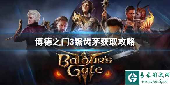 《博德之门3》锯齿茅怎么获得?锯齿茅获取攻略