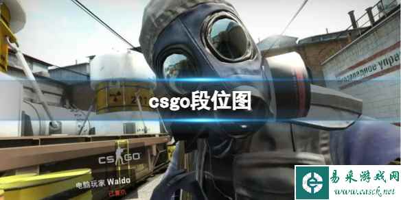 《CSGO》段位等级划分图一览