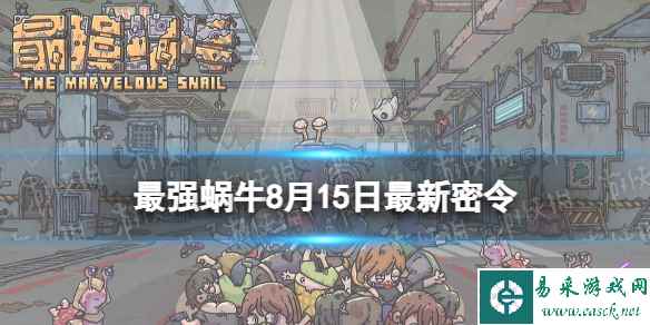 网1