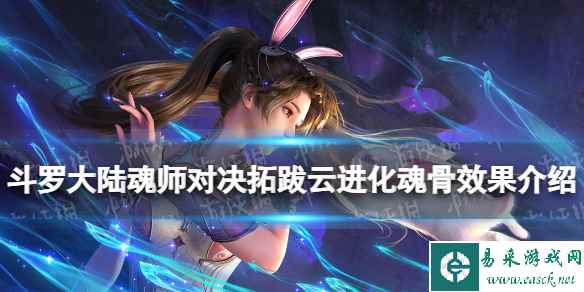 网1