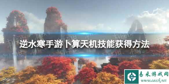 网1