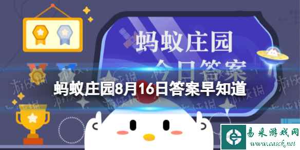 网1