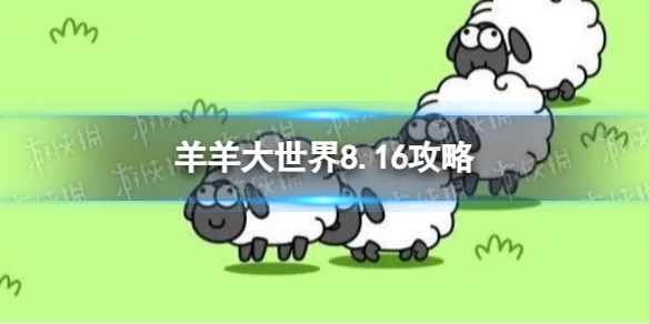 网1