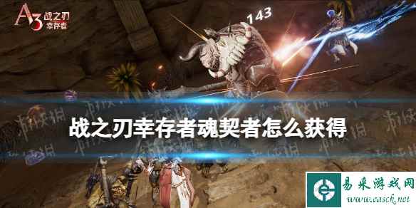 网1