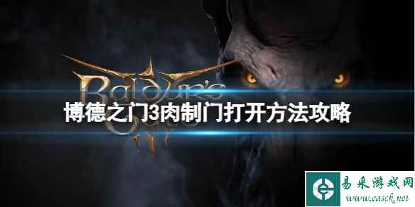 《博德之门3》肉制门怎么打开?肉制门打开方法攻略