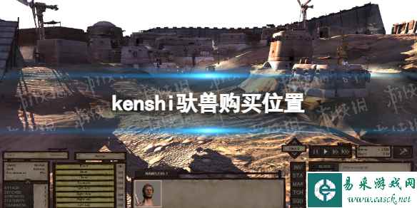 《剑士kenshi》驮兽在哪买? 驮兽购买位置