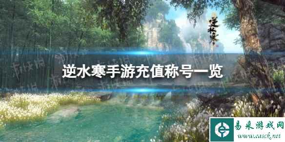 网1