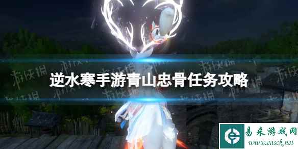 网1