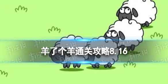 网1