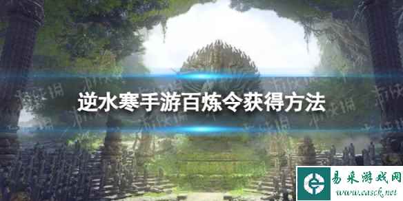 网1