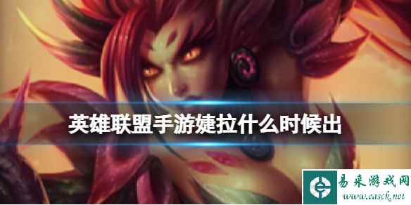 网1