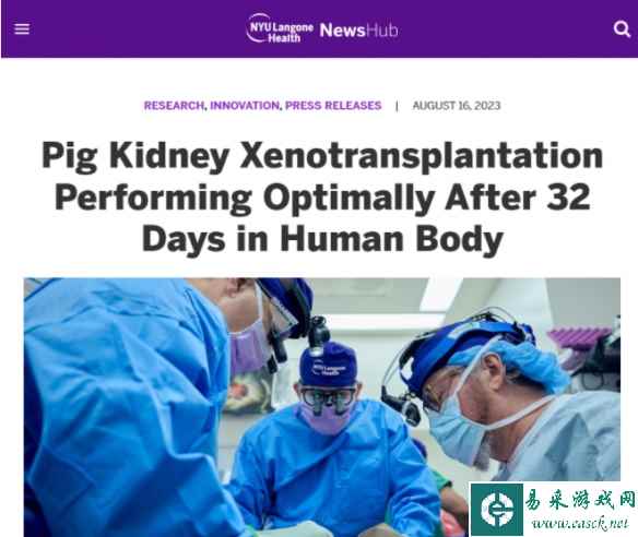 /news/2023/08-17/128825.shtml