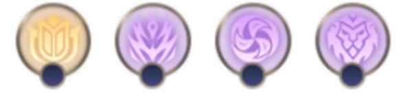 网5