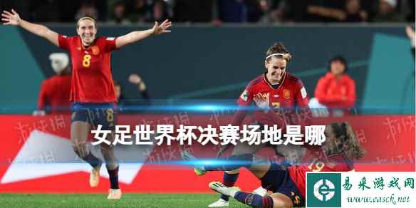 网1