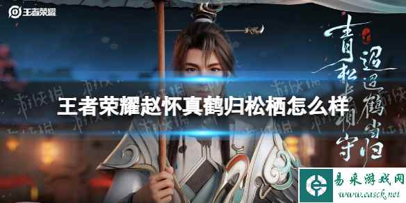 网1