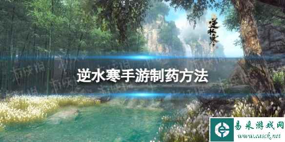 网1