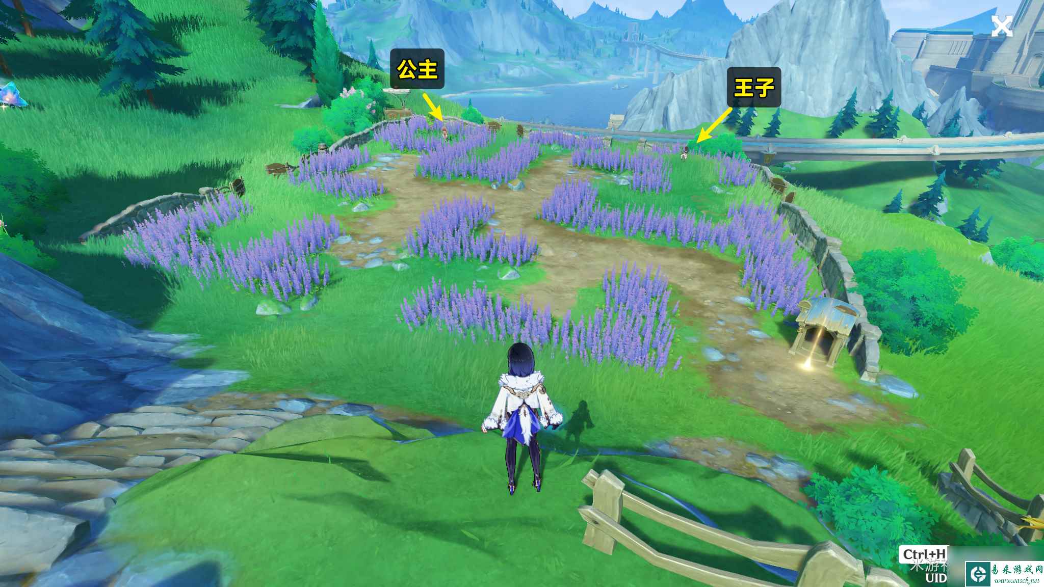原神在开满鲜花的草地上任务完成攻略