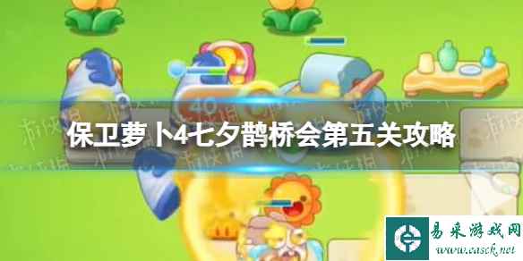 网1