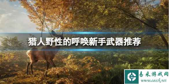《猎人野性的呼唤》新手推荐使用什么武器?新手武器推荐