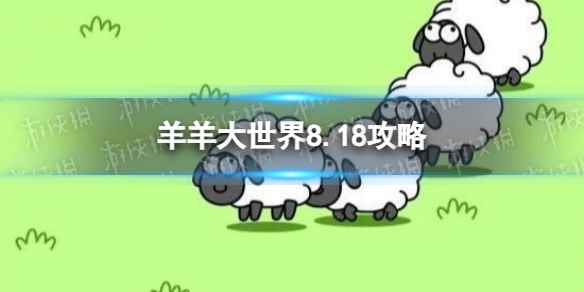 网1