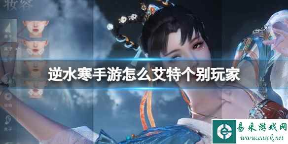 网1