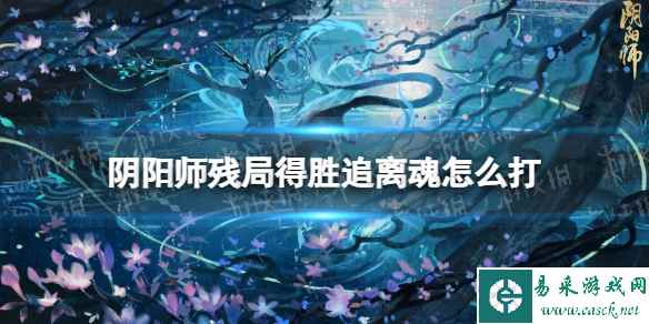网1