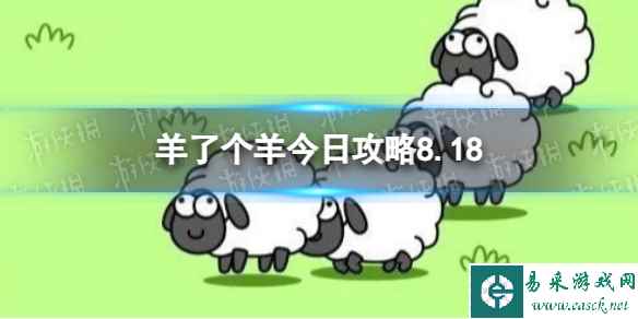 网1