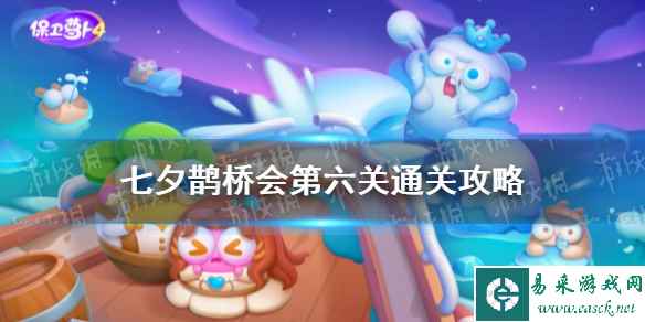 网1